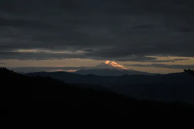 DSC_0141 (Large).JPG